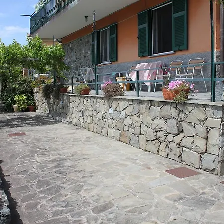 Primario Леванто